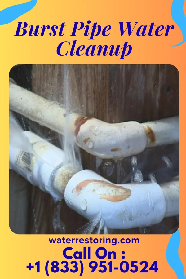 Burst Pipe Water Cleanup in Seward, NE