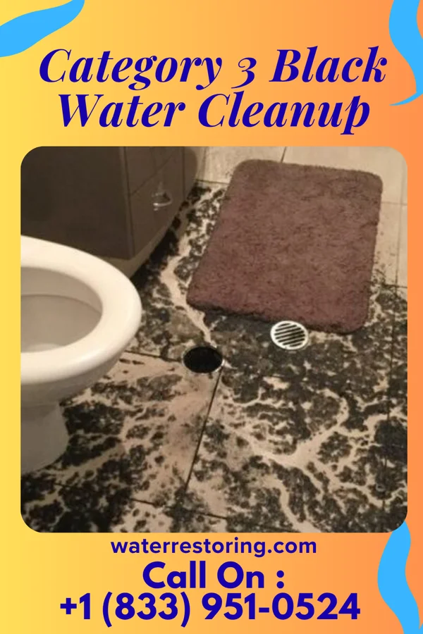 Category 3 Black Water Cleanup in Seward, NE