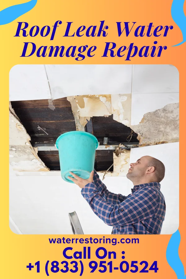 Roof Leak Water Damage Repair in Seward, NE