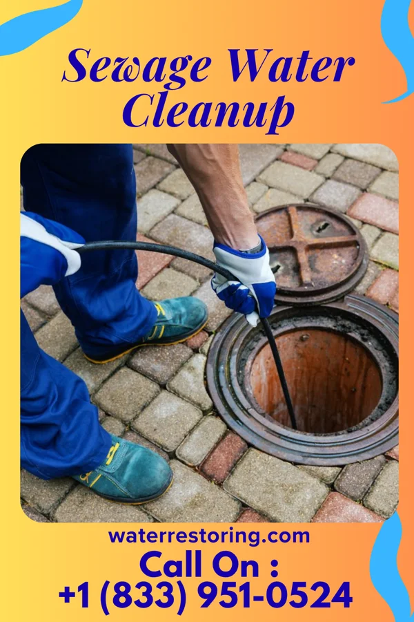 Sewage Water Cleanup in Seward, NE